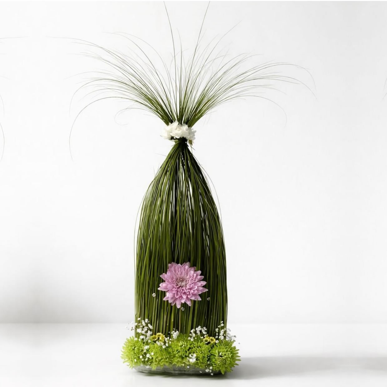 Novedades Bloom Elysee